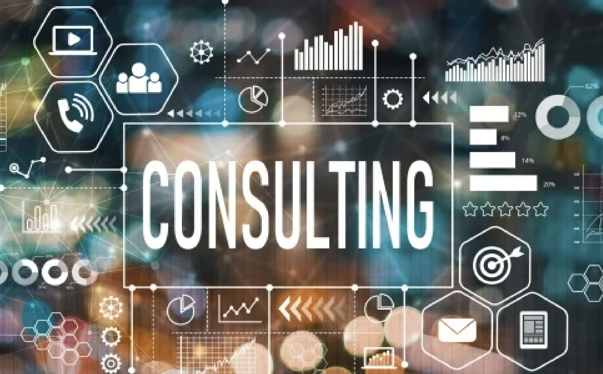 ERP Consulting